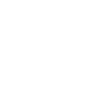 30-years-experience-icon